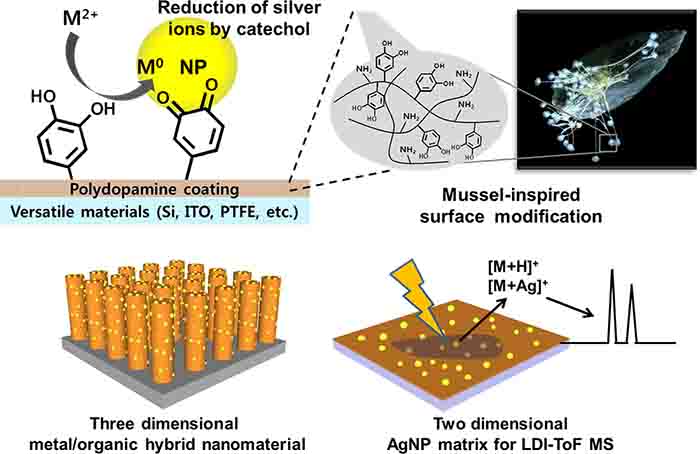 Laboratory For Bio-inspired Nanomaterials